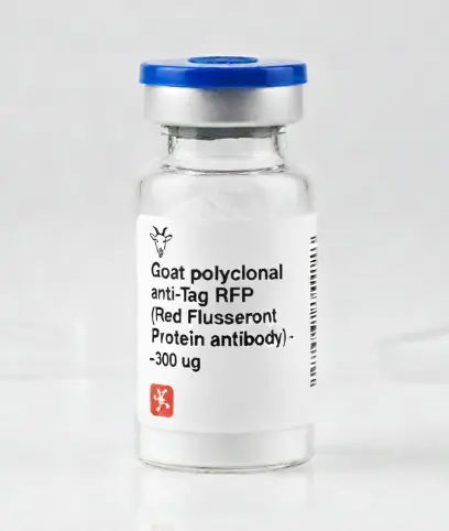 Goat polyclonal anti-Tag RFP (Red Fluorescent Protein antibody)