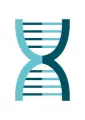 Anoxia Tools
